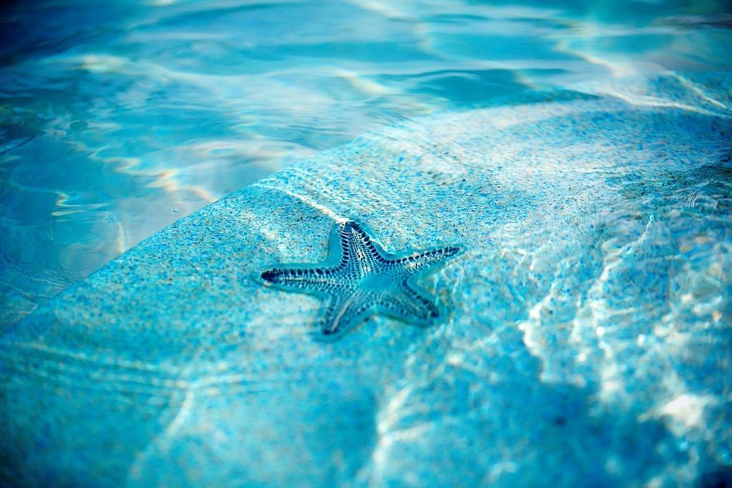 Warwick Paradise Island Bahamas (Adults Only) Nassau Esterno foto